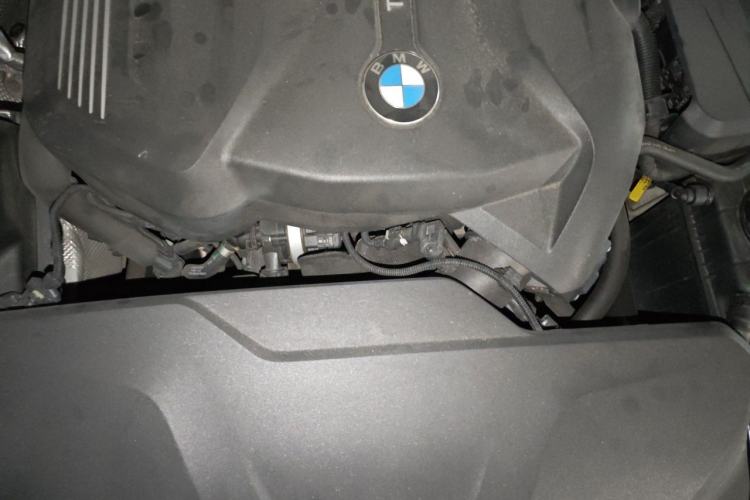Used BMW 3 Series 2017 320Li M Sport Edition Engine Bay