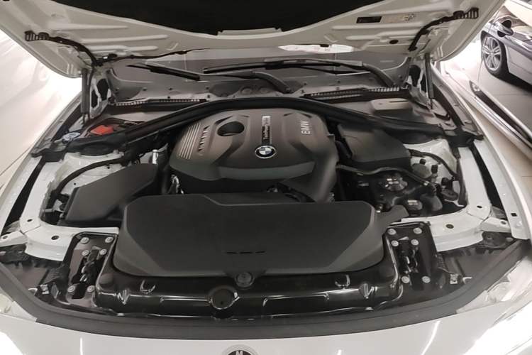 Used BMW 3 Series 2017 320Li Fashion Model Engine Bay