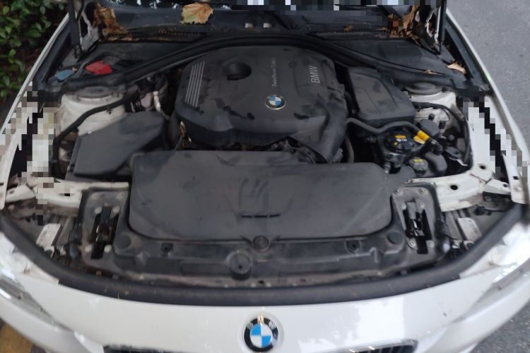 Used BMW 3 Series 2017 320Li Luxury Design Package Engine Bay