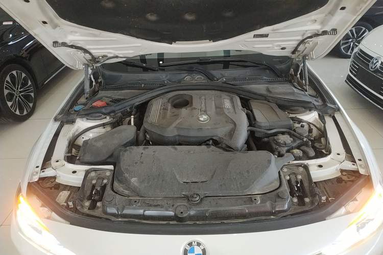 Used BMW 3 Series 2017 320Li xDrive Fashion Model Engine Bay