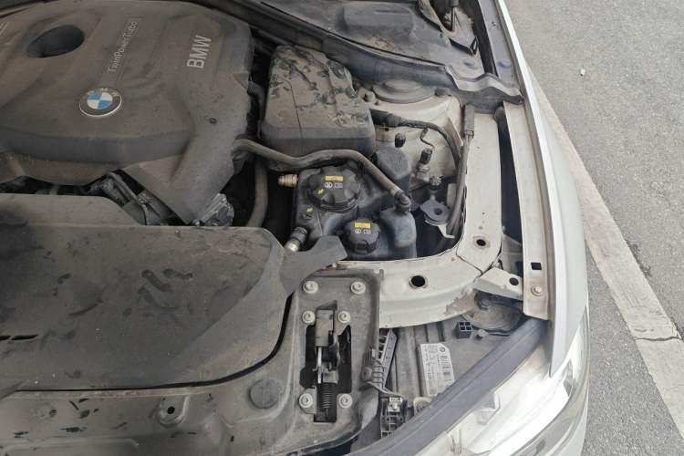 Used BMW 3 Series 2017 320Li Fashion Model Engine Bay Left
