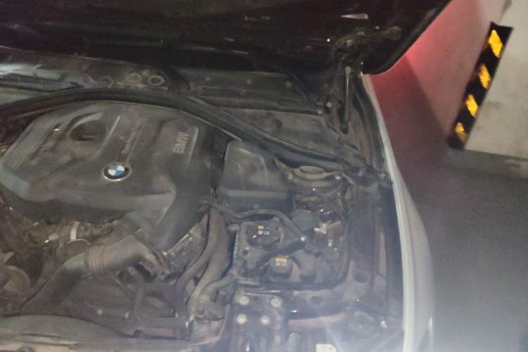 Used BMW 3 Series 2017 320Li Fashion Model Engine Bay Left
