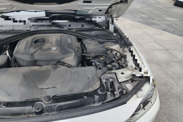 Used BMW 3 Series 2017 320Li Fashion Model Engine Bay Left