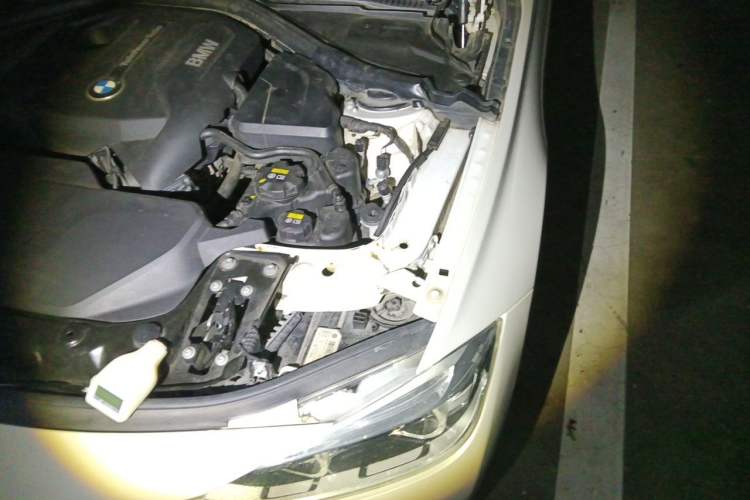 Used BMW 3 Series 2017 320Li Fashion Model Engine Bay Left