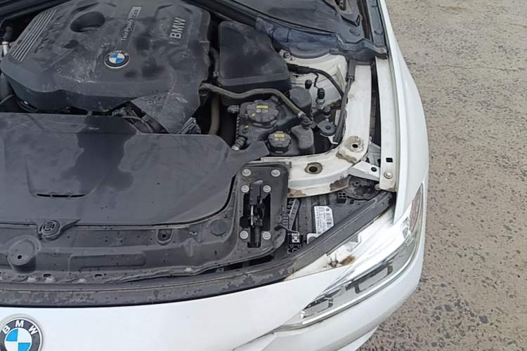 Used BMW 3 Series 2017 320Li Fashion Model Engine Bay Left