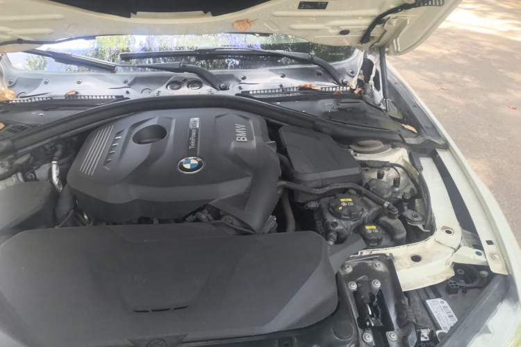 Used BMW 3 Series 2017 320Li M Sport Edition Engine Bay Left
