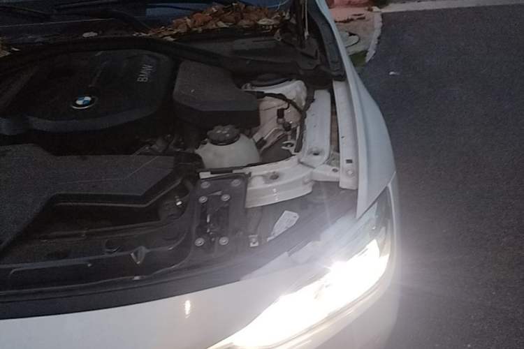 Used BMW 3 Series 2017 318i Fashion Model Engine Bay Left