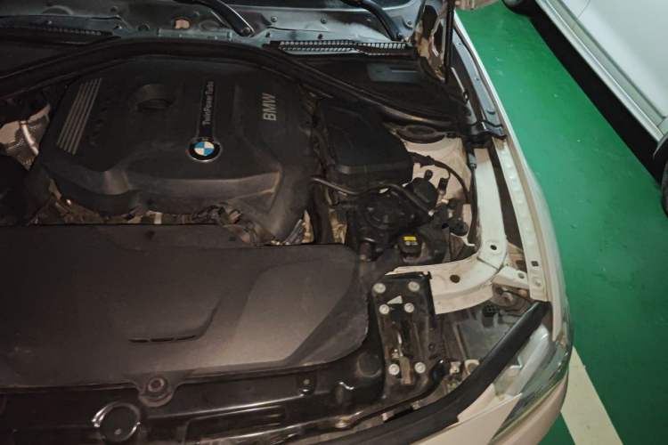 Used BMW 3 Series 2017 320Li xDrive Fashion Model Engine Bay Left
