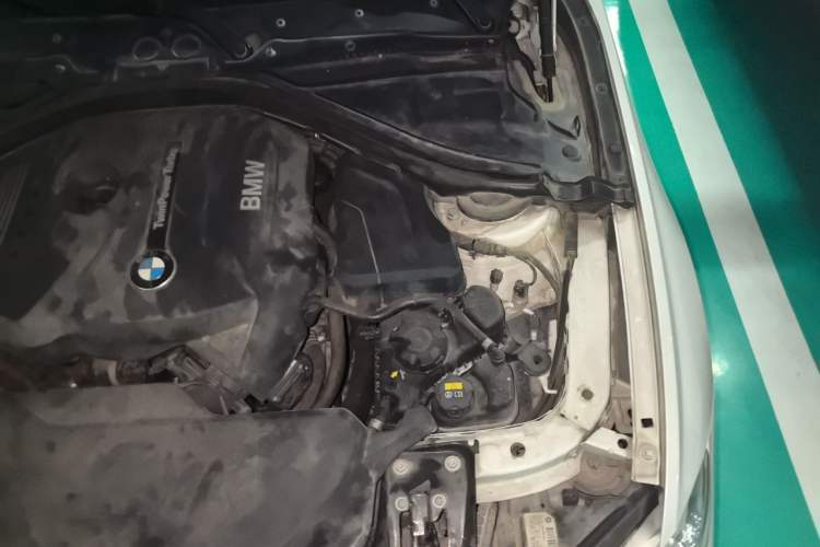 Used BMW 3 Series 2017 320Li Fashion Model Engine Bay Left