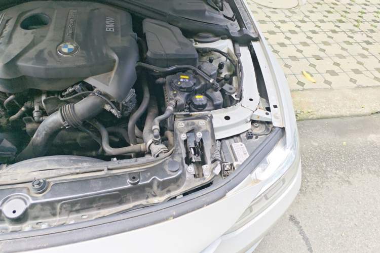 Used BMW 3 Series 2017 320Li Fashion Model Engine Bay Left