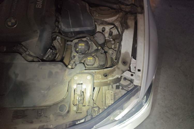 Used BMW 3 Series 2017 320Li Fashion Model Engine Bay Left