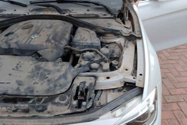 Used BMW 3 Series 2017 320Li Fashion Model Engine Bay Left