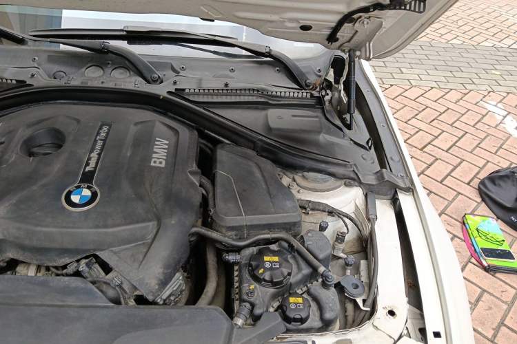 Used BMW 3 Series 2017 320Li Fashion Model Engine Bay Left