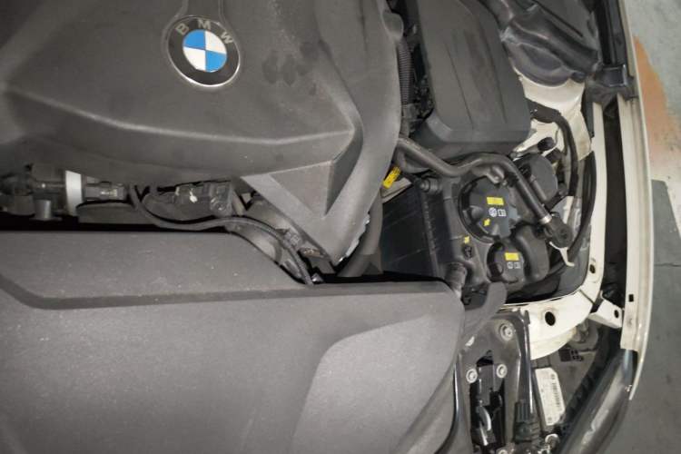 Used BMW 3 Series 2017 320Li M Sport Edition Engine Bay Left