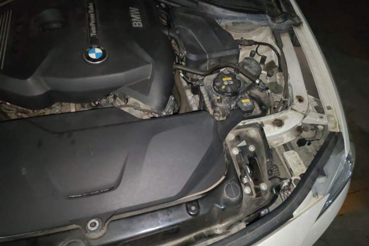 Used BMW 3 Series 2017 320Li Fashion Model Engine Bay Left
