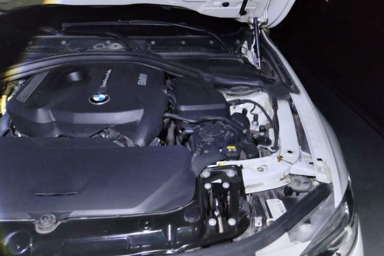 Used BMW 3 Series 2017 320Li Fashion Model Engine Bay Left
