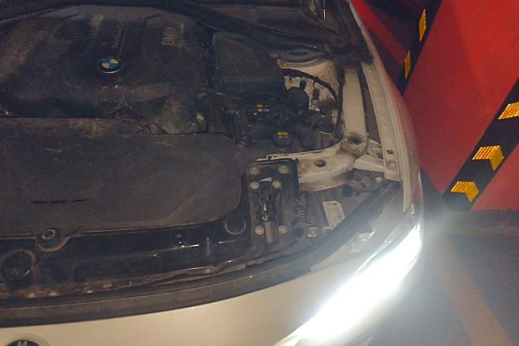 Used BMW 3 Series 2017 320Li Fashion Model Engine Bay Left