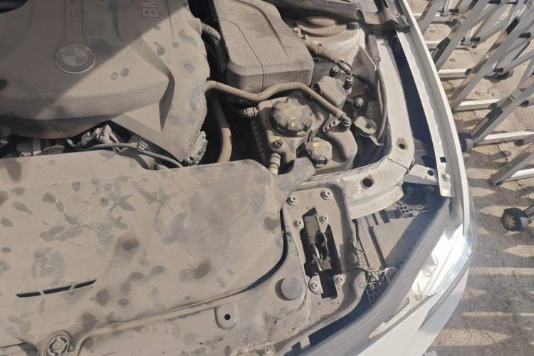 Used BMW 3 Series 2017 320Li M Sport Edition Engine Bay Left