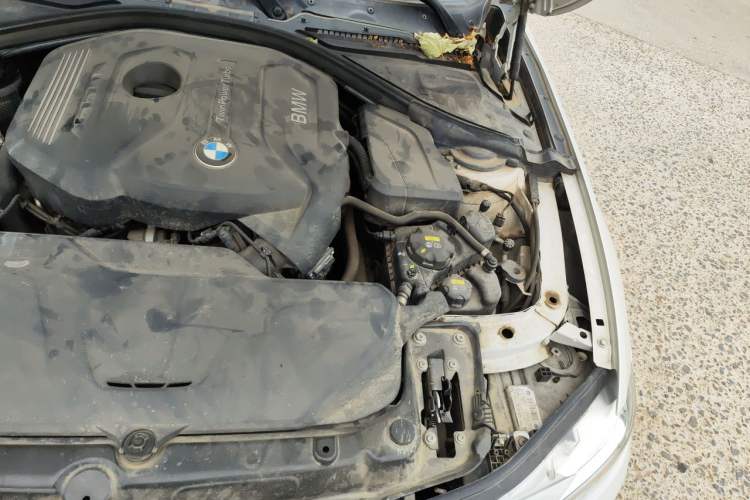Used BMW 3 Series 2017 320Li Fashion Model Engine Bay Left