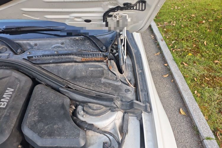 Used BMW 3 Series 2017 318Li Fashion Model Engine Bay Left