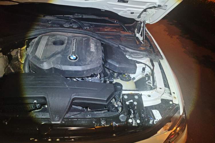 Used BMW 3 Series 2017 318Li Fashion Model Engine Bay Left