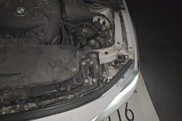 Used BMW 3 Series 2017 320Li Fashion Model Engine Bay Left