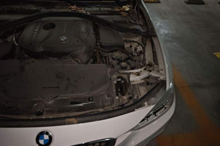 Used BMW 3 Series 2017 320i M Sport Engine Bay Left