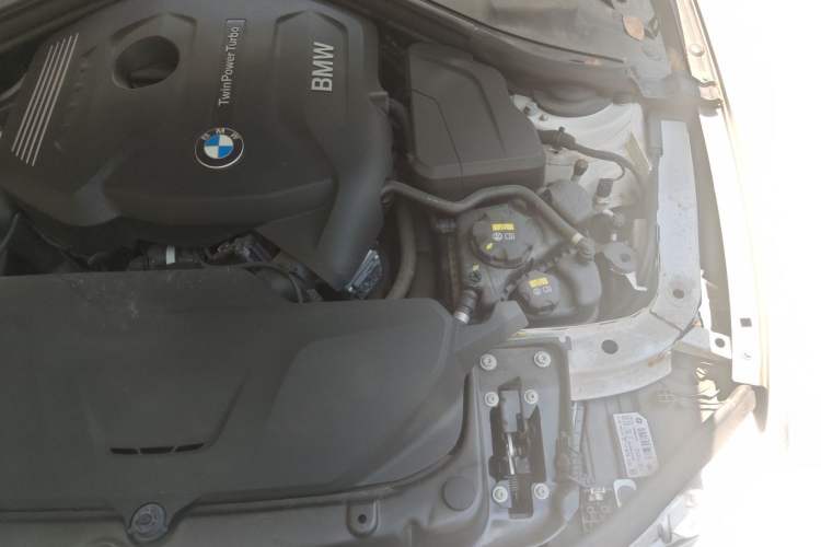 Used BMW 3 Series 2017 320Li Fashion Model Engine Bay Left