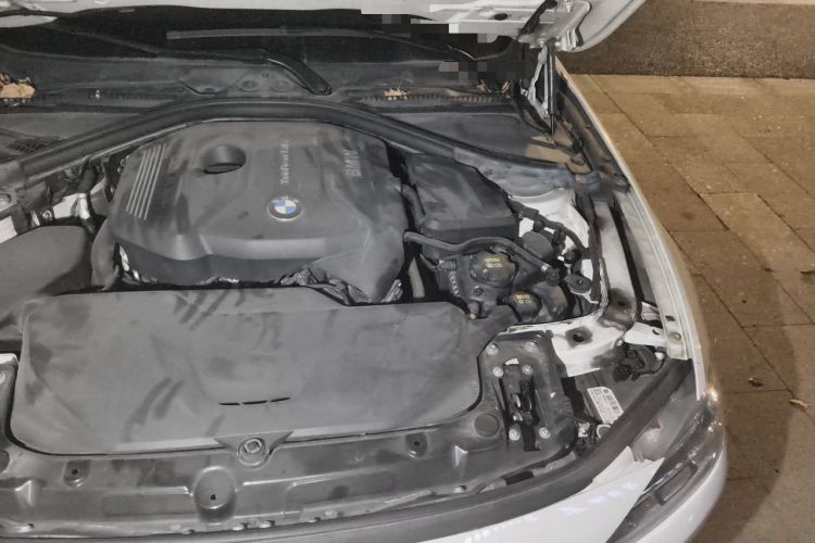 Used BMW 3 Series 2017 320Li Luxury Design Package Engine Bay Left