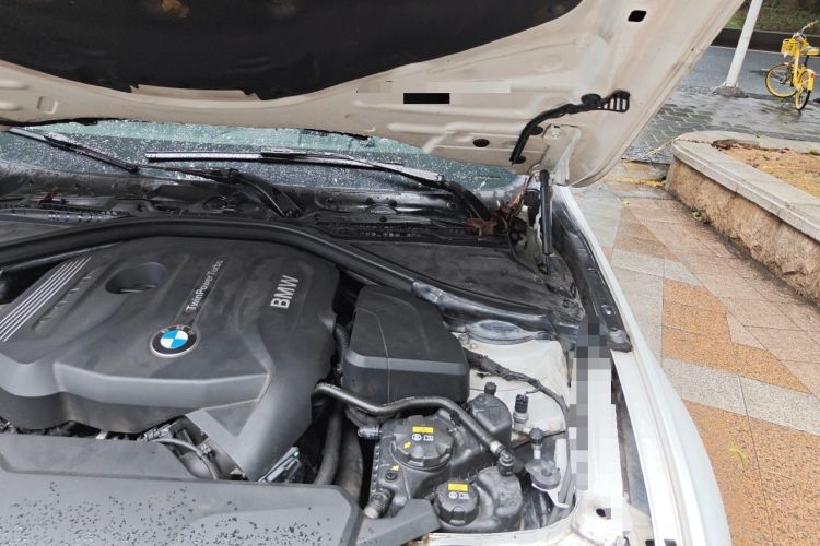 Used BMW 3 Series 2017 320Li M Sport Edition Engine Bay Left