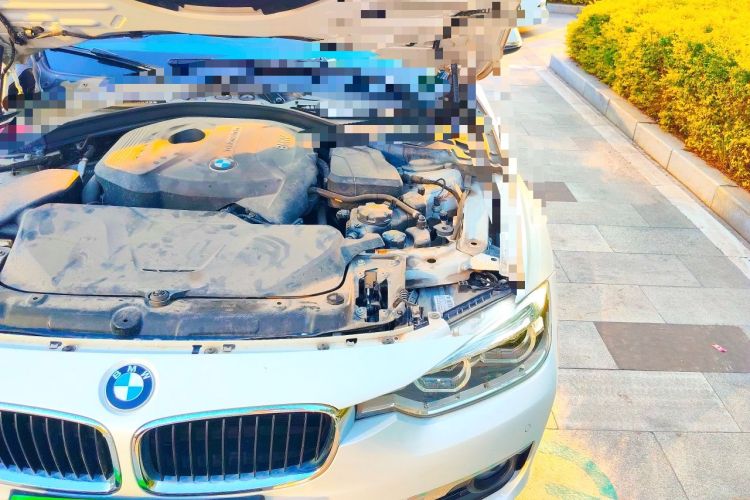 Used BMW 3 Series 2017 320Li Fashion Model Engine Bay Left
