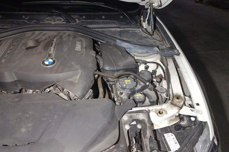 Used BMW 3 Series 2017 320Li Fashion Model Engine Bay Left