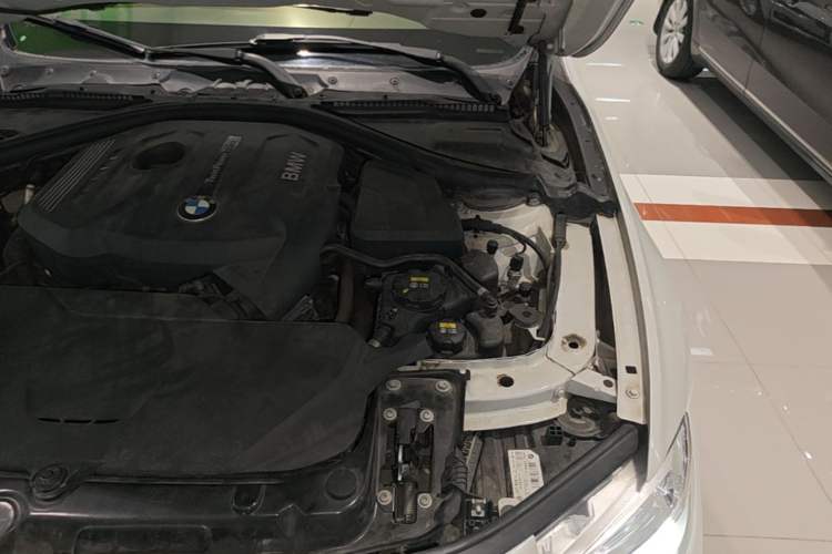 Used BMW 3 Series 2017 320Li Fashion Model Engine Bay Left