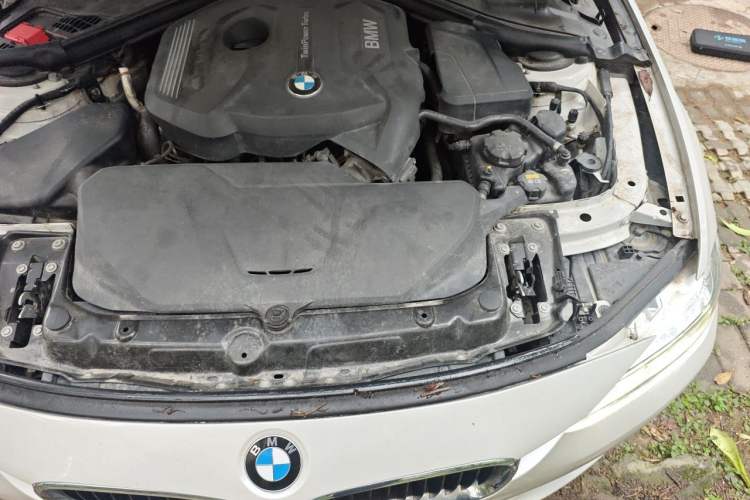Used BMW 3 Series 2017 320Li Fashion Model Engine Bay Left