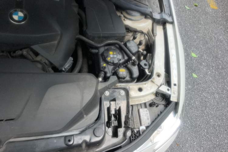 Used BMW 3 Series 2017 320Li Fashion Model Engine Bay Left