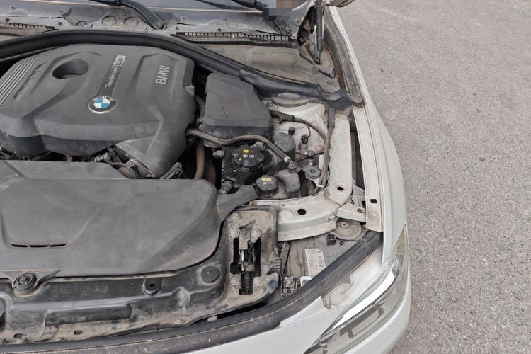 Used BMW 3 Series 2017 320Li xDrive Fashion Model Engine Bay Left