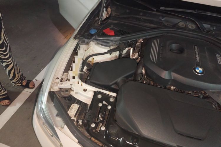 Used BMW 3 Series 2017 320Li Fashion Model Engine Bay Right