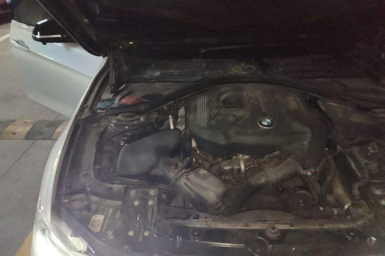 Used BMW 3 Series 2017 320Li Fashion Model Engine Bay Right