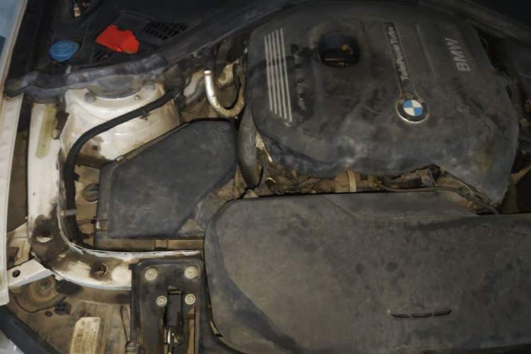 Used BMW 3 Series 2017 320Li Fashion Model Engine Bay Right