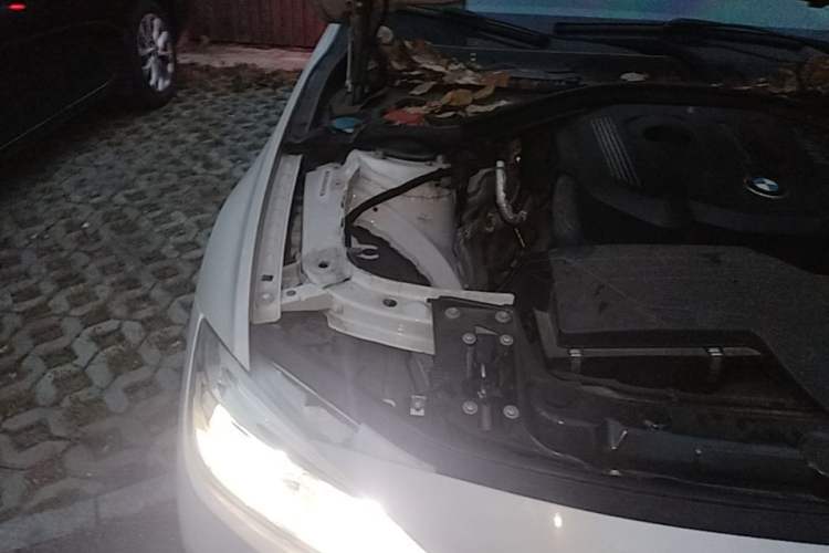 Used BMW 3 Series 2017 318i Fashion Model Engine Bay Right