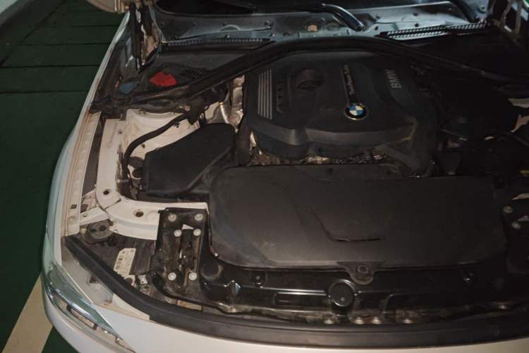 Used BMW 3 Series 2017 320Li xDrive Fashion Model Engine Bay Right
