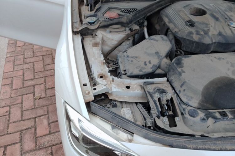 Used BMW 3 Series 2017 320Li Fashion Model Engine Bay Right