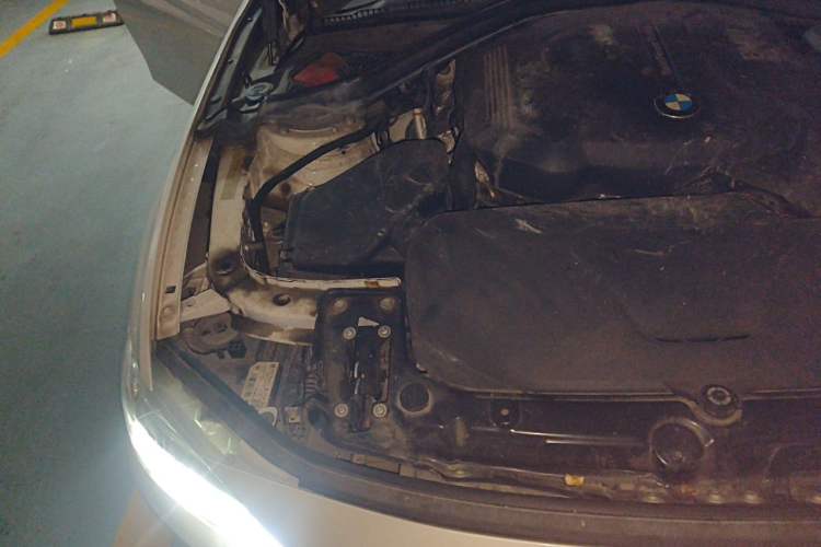Used BMW 3 Series 2017 320Li Fashion Model Engine Bay Right