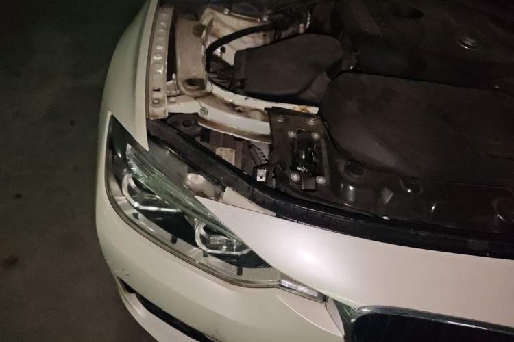 Used BMW 3 Series 2017 320Li Fashion Model Engine Bay Right