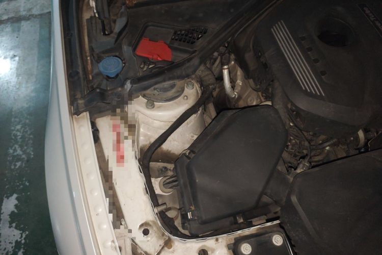 Used BMW 3 Series 2017 320Li Fashion Model Engine Bay Right