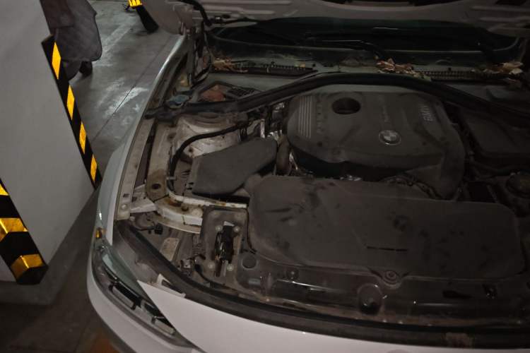 Used BMW 3 Series 2017 320i M Sport Engine Bay Right