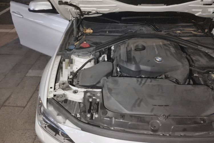Used BMW 3 Series 2017 320Li Luxury Design Package Engine Bay Right