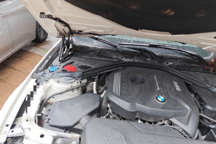 Used BMW 3 Series 2017 320Li M Sport Edition Engine Bay Right
