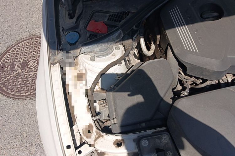 Used BMW 3 Series 2017 320Li Fashion Model Engine Bay Right