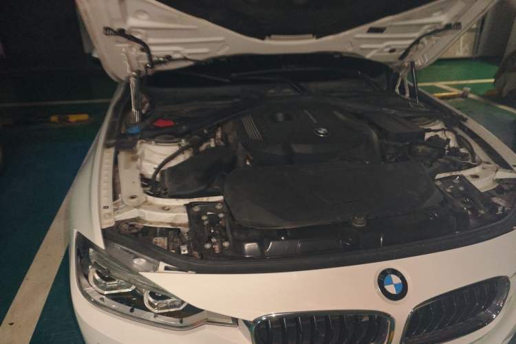 Used BMW 3 Series 2017 320i M Sport Engine Bay Right